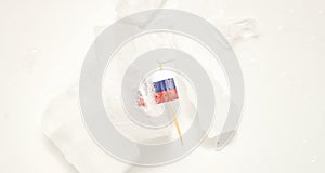 The state emblem of the Russian flag frozen in ice on a white background
