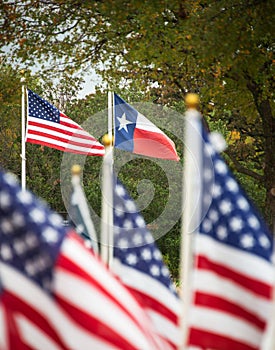 The state flag of Texas and American flag waving in the wind on flagpoles