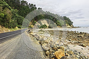 The State Highway 25 or Themes Coast Road at the foot Coromandel Range and along the shore of Firth of Thames in the North Island