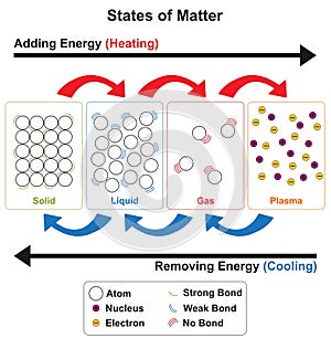 State of matter infographic diagram solid liquid gas plasma