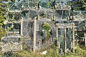 State mine professional lobster fishing cages