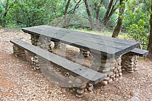 State Park Picnic Meal Table