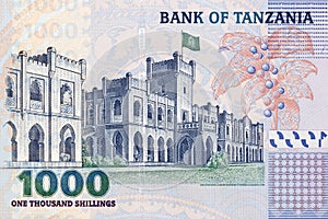 Statehouse from Tanzanian money photo