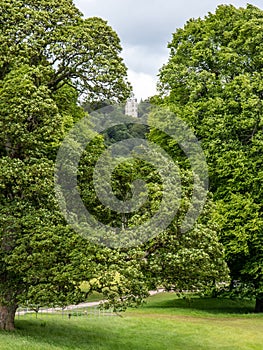 Stately Home Derbyshire, grounds, bridge, trees, house.