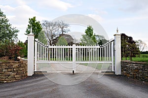 Stately Home Gates and Driveway photo