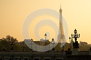 Static shot of Alexandre III bridge during sunset in Paris. Eiffel Tower in the background