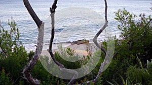 Static shot of quiet beach between trees and nature seen from height. Expected vacation concept