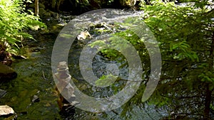 Static shot of a stoney river, shining under the sun, covered with spruce branches.