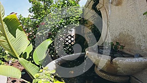 Static, slow motion shot of a bird, flying down to a water fountain, Los Angeles