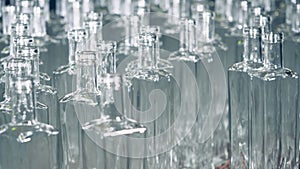 Static view of multiple glass bottles standing closely to each other