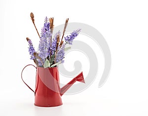 statice and caspia flower in vase