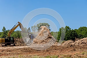 Stationary industrial shredder wood chips from roots in shredding machine of an work conveyor