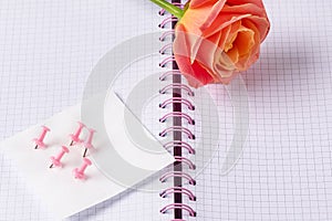 Stationery pink push pins in white sticker and rose on open notebook