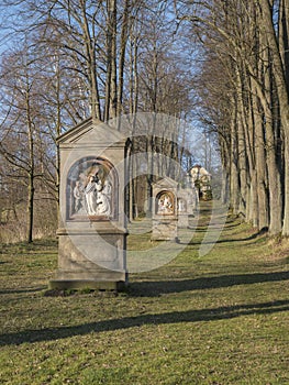 Stations of the Cross in avenue of beech tree near village Cvikov. Calvary with small chapels build in 1728 by Johann
