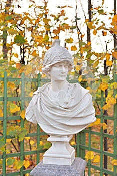 Statue of Alexander the Great in Summer Garden.