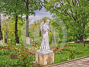 Statue of angel in beautiful garden with flowers