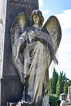 The statue of an angel in the cemetery of S.Anna in Trieste