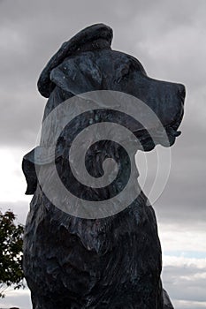 Statue of Bamse St Bernard front of South Esk, Montrose, Angus, Scotland, UK. photo