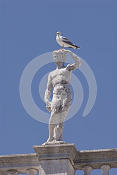 Statue on the Biblioteca Nazionale Marciana photo