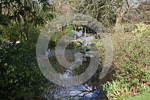 A statue of birds flying in the grounds of Le Manoir aux Quat Saisons in Oxfordshire in the UK