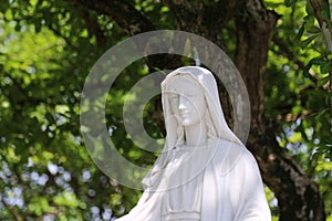 Statue of the Blessed Virgin Mary in the garden