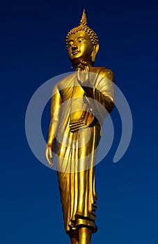 Statue of the Buddha .