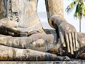 statue of buddha in ayutthaya thailand, digital photo picture as a background