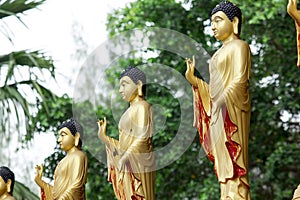 Statue of Buddha in golden standing position.