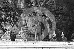 Statue of Buddha in the middle of temple in the mountain. Picture was shot in black and white.