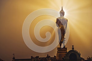 Statue of buddha standing with sunray