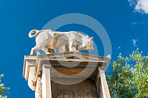 Statue of Bull in archaeological site of  Kerameikos, the cemetery of ancient Athens