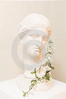 Statue bust aphrodite plaster sculpture art flowering