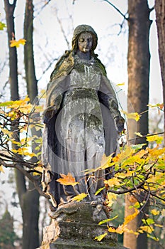 Statue in a cemetery
