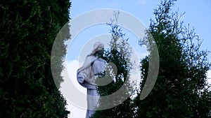 Statue in a cemetery on the sky and trees
