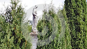 Statue in a cemetery with trees