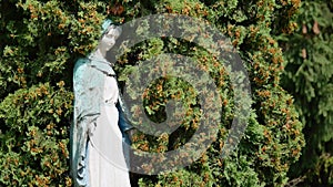 Statue in a cemetery on the trees