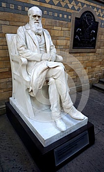 Statue of Charles Darwin