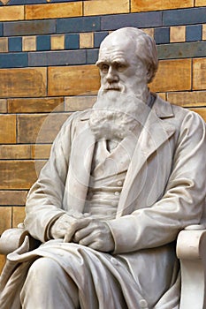 Statue Of Charles Darwin