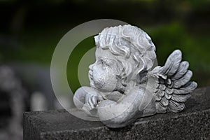 Statue of Cherub Angel with Wings Child photo
