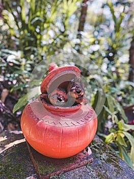 Statue of the child monk in outdoor green scenery at Wat Pha Lat, Doi Suthep, Chiangmai temple