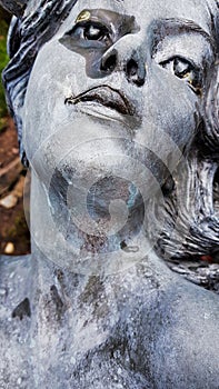 Statue Close up of texture of the head 