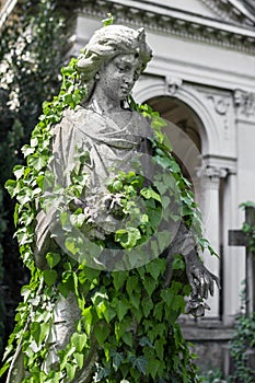 Statue covered with ivy