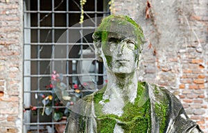 Statue Covered in Moss photo