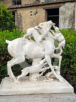 Casa dei Cervi, Ercolano