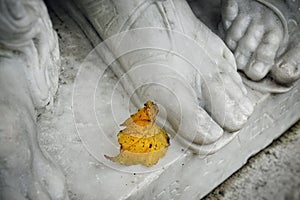 statue detail marble white leaf yellow color close-up textured autumn