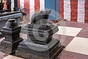 Statue of devote rat in front of Ganesha shrine, Kadirampura, Karnataka, India photo