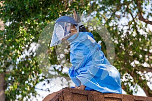 Statue of a dog with face mask, shield and surgical gown outside of a veterinary hospital, during COVID-19 outbreak - Davie, Flori