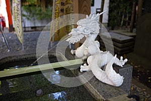 A statue of dragon at purification fountain in Japanese Shrine