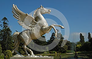 Statue flying horse photo