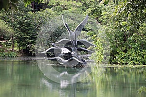 Statue of flying swans captured in Swan lake in the botanical garden in Singapore